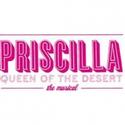 PRISCILLA QUEEN OF THE DESERT Comes to St. Louis, Now thru 2/10 Video