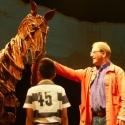 WAR HORSE's 'Joey' Appears at New London Theatre with Michael Morpurgo Video