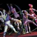 Golden Dragon Acrobats Come to Wilson Center for the Arts, 12/1 Video