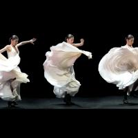 New York City Center Launches Latin Dance Festival 'A BAILAR' Today Video