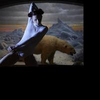 AMNH Presents ON THE NATURE OF THINGS: A NEW WORK BY KAROLE ARMITAGE This Week Video