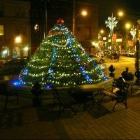 East Passyunk Avenue Kicks Off Holidays at Tree Lighting Party Tonight Video