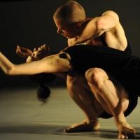 BWW Reviews: ADELAIDE FESTIVAL 2014: SADEH21 Displays Strength, Control, and Flexibility