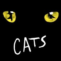 CATS Confirmed for Palladium Return This Autumn Video