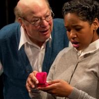 Photo Flash: Peter Van Wagner in Theatre 80's DANCING ON NAILS, Now Through 8/29 Video