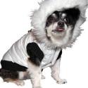 FURRY FRIENDS ON THE RUNWAY Set for NYC's Fall 2012 Fashion Week Today, 9/5 Video