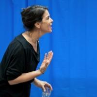 Annabella Sciorra Leads DOWNTOWN RACE RIOT at Powerhouse Theater, Beg. Tonight