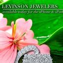 Levinson Jewelers Collaborates with Ronald McDonald House for Charity Line Video