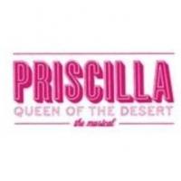PRISCILLA QUEEN OF THE DESERT to Open 9/3 at Buell Theatre Video