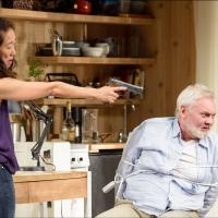 DEATH AND THE MAIDEN, Starring Sandra Oh, Extends Through July 20 at Victory Gardens  Video