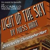 Christopher Hart to Host & Direct Peccadillo Theater Co.'s Staged Reading of LIGHT UP Video