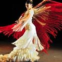 FOREVER FLAMENCO Returns to the Fountain Theatre, 2/10 Video