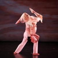 Amanda Selwyn Dance Theatre's Crystal White Gala Set for 3/14 Video