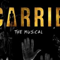 BWW Reviews: FlynnArts Opens a Chilling CARRIE Video