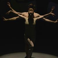 Tom Gold Dance to Return to STARS OF BALLET in Bilbao, Spain, 8/21-22 Video
