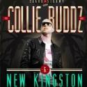 Collie Budz Plays the Fox Theatre, 11/9 Video