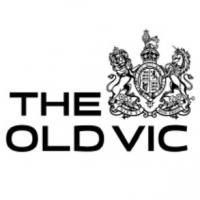 Further Casting Announced for ELECTRA at The Old Vic