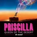 Meet the Cast of the PRISCILLA QUEEN OF THE DESERT National Tour! Video