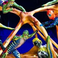 BWW Reviews: Cirque du Soleil's TOTEM