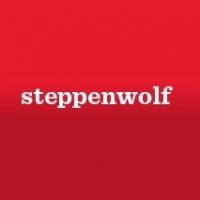 William Petersen to Star in SLOWGIRL at Steppenwolf Video