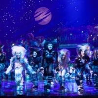 Sands Resorts Cotai Strip Macao Presents CATS at The Venetian Theatre Tonight Video