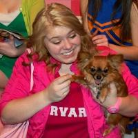 Photo Flash: West De Pere High Presents LEGALLY BLONDE; Opens 2/21