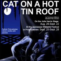 Wellfleet to Stage CAT ON A HOT TIN ROOF, Begin. 8/29 Video