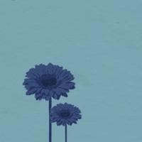Sharon Playhouse to Host Developmental Workshop of GEORGIE: THE LIFE AND DEATH OF…