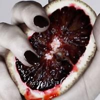 FEAR & DELIGHT Set for 2015 Adelaide Fringe