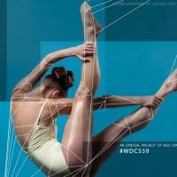 Darkroom Contemporary Presents BLUEPRINT at the City Hall, July 28 - August 2