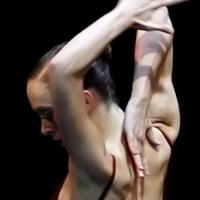 Dance Theatre of Tennessee Presents EAST MEETS WEST This Weekend Video