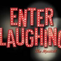 The Wallis Presents ENTER LAUGHING- THE MUSICAL 2/08-3/01
