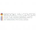 Brooklyn Center for the Performing Arts Presents THE VELVETEEN RABBIT, 11/11 Video