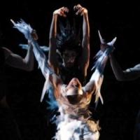 BWW Reviews: LES BALLETS DE MONTE CARLO Brings Jean-Christophe Maillot's Darkly Compelling Adaptation of 'Swan Lake' to NYC