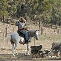 Aussie Farmstay & Bush Adventures Offering Farmstay Trips in 2014 Video