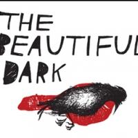 THE BEAUTIFUL DARK to Make World Premiere at Redtwist Theatre, 7/27 Video