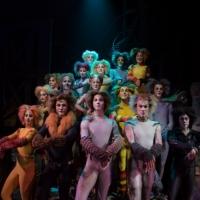 BWW Reviews: CATS at the Panasonic Theatre is a Magical Night Out!