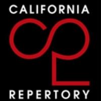 Anne D'Zmura Named New Artistic Director of Cal Rep Video