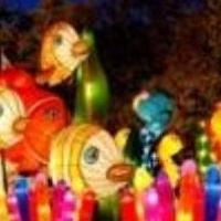 CHINESE LANTERN CARNIVAL 2015 Set for COS New Year Festival at Sydney Harbour