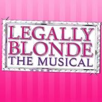 BWW Reviews: Stage Door's LEGALLY BLONDE Makes You Think Pink