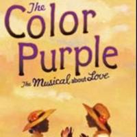 Trisha Jeffrey and More to Star in Mercury Theater Chicago's THE COLOR PURPLE, 8/14-1 Video