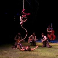 BWW Review: Marion Steals THE HEART OF ROBIN HOOD