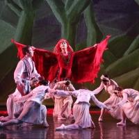 BWW Reviews: ARB at McCarter Theatre - A Perfect Showcase Video