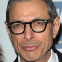 Jeff Goldblum, Robin De Jesus, Mary Beth Peil & More to Join Laurie Metcalf in LCT's  Video