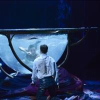 BWW Reviews: Cirque's AMALUNA an Artistic Triumph Video