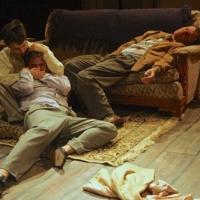 BWW Reviews: Wrenching Production of ORPHANS Ignites Mad Horse Theater Video
