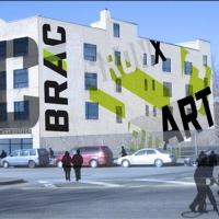 Groundbreaking Ceremony for Bronx River Art Center Renovation Set for Today Video