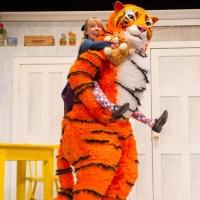 BWW Reviews: THE TIGER WHO CAME TO TEA, a delightfully whimsical interactive musical play for children.