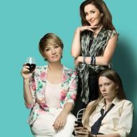 BWW Reviews: JUMPY Is A Layered Comedy That Looks Below the Middle Age, Middle Class  Video