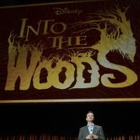 Disney Takes D23-Goers INTO THE WOODS, Reveals Logo for Upcoming Film!